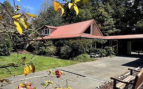 Kauri Lodge